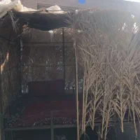 آلاچیق|فروشگاه و مغازه|طبس, |دیوار