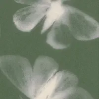 جفت شیش آنلاین