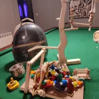 دو عدد قفس+وسایل بازی پرنده+کیف حمل پرنده|لوازم جانبی حیوانات|نوشهر, |دیوار