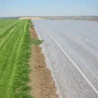 فوم«ضد سرمای»محصولات کشاورزی