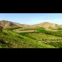 اجاره-زمین-دیم