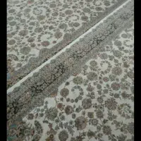 فرش ۱۲ متری|فرش|قم, شهر قائم|دیوار