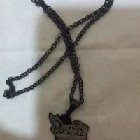 چند عدد زنجیر و پلاک استیل و خاص به شرط رنگ ثابت|بدلیجات|کاشان, باغ ماجد|دیوار