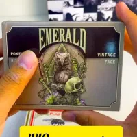 بلک فرایدی پاسور|حراج|تربتحیدریه, منظر|دیوار