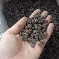 کشمش تاکستان آفتابی پلویی مویز ابگیری|خوردنی و آشامیدنی|خرمدشت, |دیوار