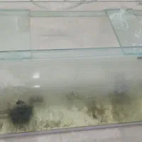 شیشه اکواریوم