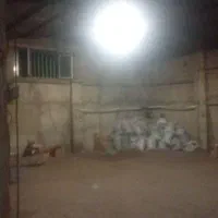 ذغال ‌و‌سرکه ‌درخت‌