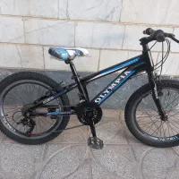 دوچرخه۲۰ حرفه ای