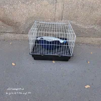 قفس همستر ، قفس خرگوش با لوازم|لوازم جانبی حیوانات|تهران, هفده شهریور|دیوار