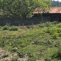 فروش ویژه ی زمین سند دار در سوادکوه شهر زیراب|فروش زمین و ملک کلنگی|زیرآب, |دیوار