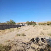 فروش زمین مسکونی|فروش زمین و ملک کلنگی|شیروان (لرستان), |دیوار