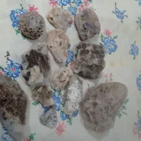 سنگهای زیبای شهرستان خاف|بدلیجات|نیشابور, فرح بخش|دیوار