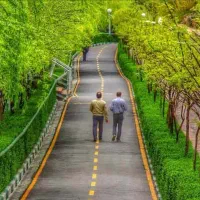 روانشناس و مشاوره تخصصی خانواده.جلسه اول رایگان