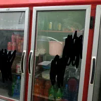 یخچال سه درب البرز