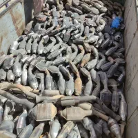 خرید انواع کاتالیزور و خاک کاتالیزور