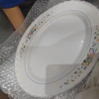 آرکوپال ویکتوریا لومینارک فرانسه به قیمت روز