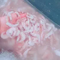 میگو دریایی جنوب