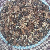 مغز گردو فسنجانی