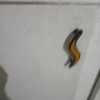 کابینت وسنگ|آب‌چکان و نظم‌دهنده ظروف|کرج, ساماندهی|دیوار