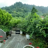 اجاره روزانه ویلا استخردار جنگلی پلاک اول جنگل