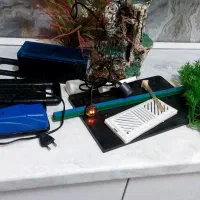 لوازم اکواریوم|ماهی|پاکدشت, پاکدشت (مامازند)|دیوار