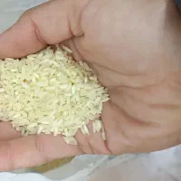 عنبربو معطر|خوردنی و آشامیدنی|شاهینشهر, فردوسی|دیوار