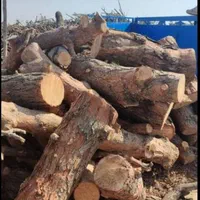 خرید و فروش انواع چوب|خدمات باغبانی و درختکاری|خرم‌آباد, |دیوار