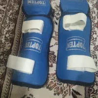 ساق پا