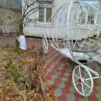 کالسکه عروس برای جابجایی بلبرینگدار میباشد|کالسکه و لوازم جانبی|مراغه, |دیوار