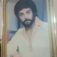 قاب عکس خواننده