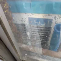 کولر آبی|کولر آبی|مشهد, کوی المهدی|دیوار