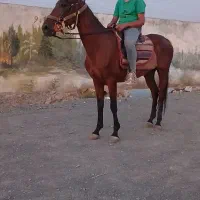 کلاسی