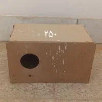 قفس،لونه،نردبان،ملزومات قفس پرنده|لوازم جانبی حیوانات|برخوار, |دیوار