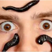 معجزات زالو