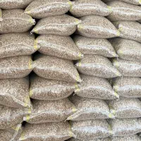 تخمه هندوانه