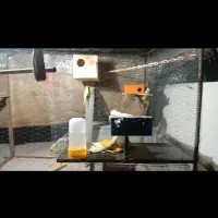 قفس آهنی با ۷ تا مرغ عشق باخونه آبخوری