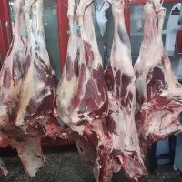 ارزانسرای گوشت|خوردنی و آشامیدنی|شوط, |دیوار