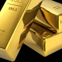 یک قطعه طلا پیدا شده