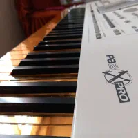 کیبورد|پیانو، کیبورد، آکاردئون|اردبیل, |دیوار