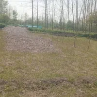 روستای ایمن آباد کوچصفهان گیلان