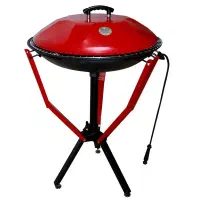 باربیکیو پارمیس