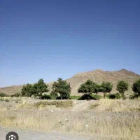 زمین بر جاده بغدادی