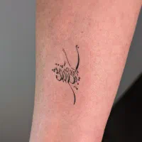 میکروبلیدینگ به مدت محدود ۴۷۰(بانوان)