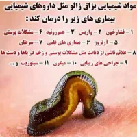 زالودرمانی، حجامت، ماساژ درمانی و بادکش در سراوان