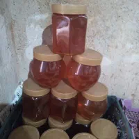عسل طبیعی کردستان