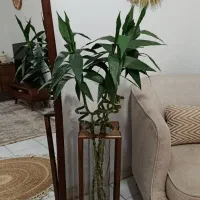 3شاخه بامبو مصنوعی|گل مصنوعی|تهران, خواجه نظام الملک|دیوار