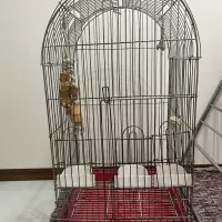 قفس بزرگ پرنده