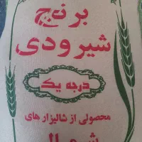برنج شیرودی درجه یک
