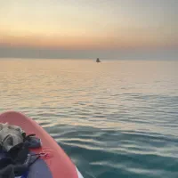 تور خصوصی پدلبرد و فریدایو در کیش|تور و چارتر|کیش, |دیوار