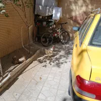 تاکسی۸۵|خودرو سواری و وانت|بروجرد, |دیوار